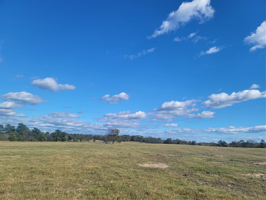 12403 Fm 1975 Parcel C Property Photo 10