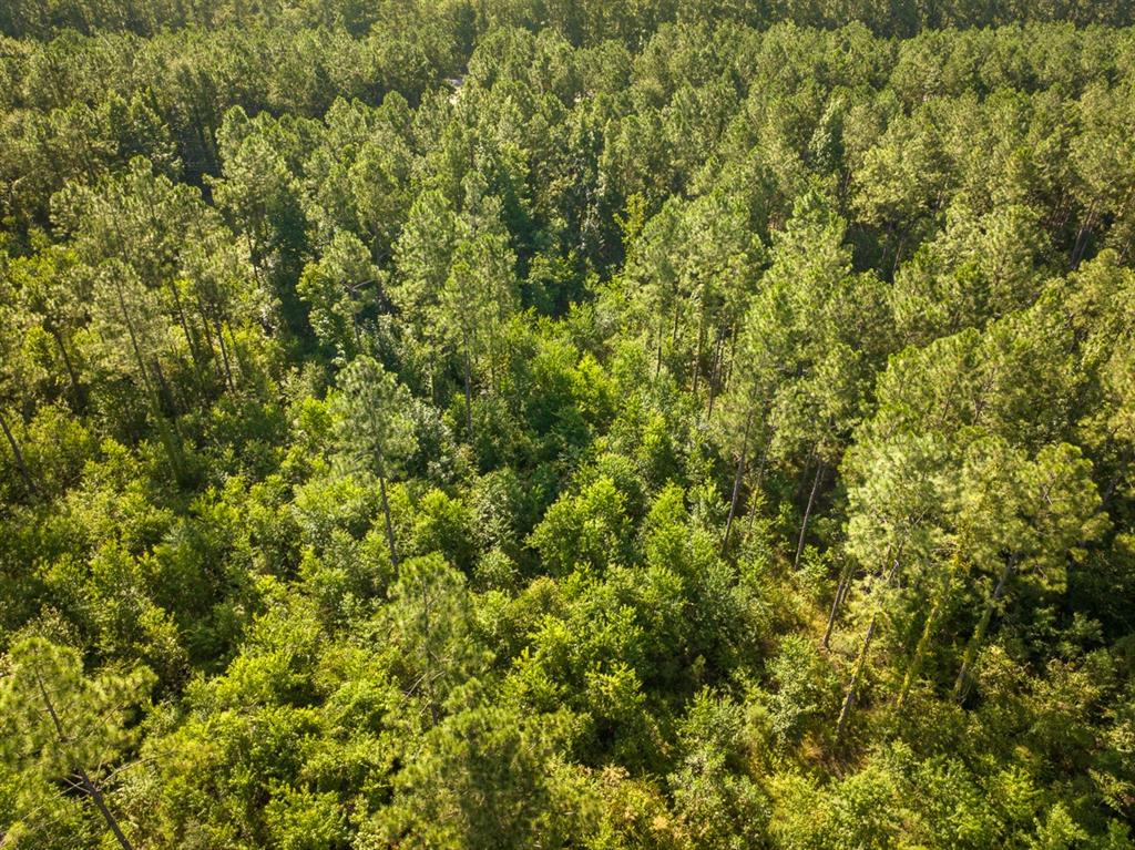 1 Highway 165 Property Photo 3