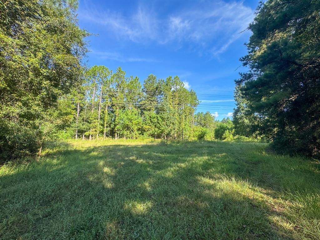 1 Highway 165 Property Photo 6