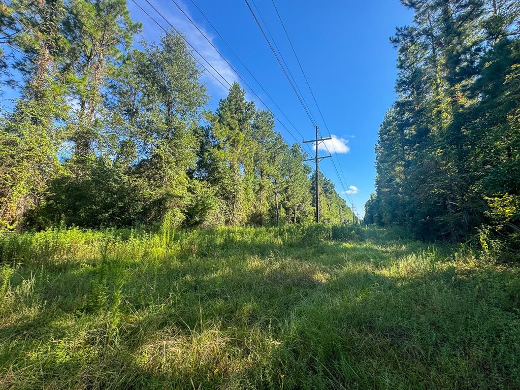 1 Highway 165 Property Photo 7