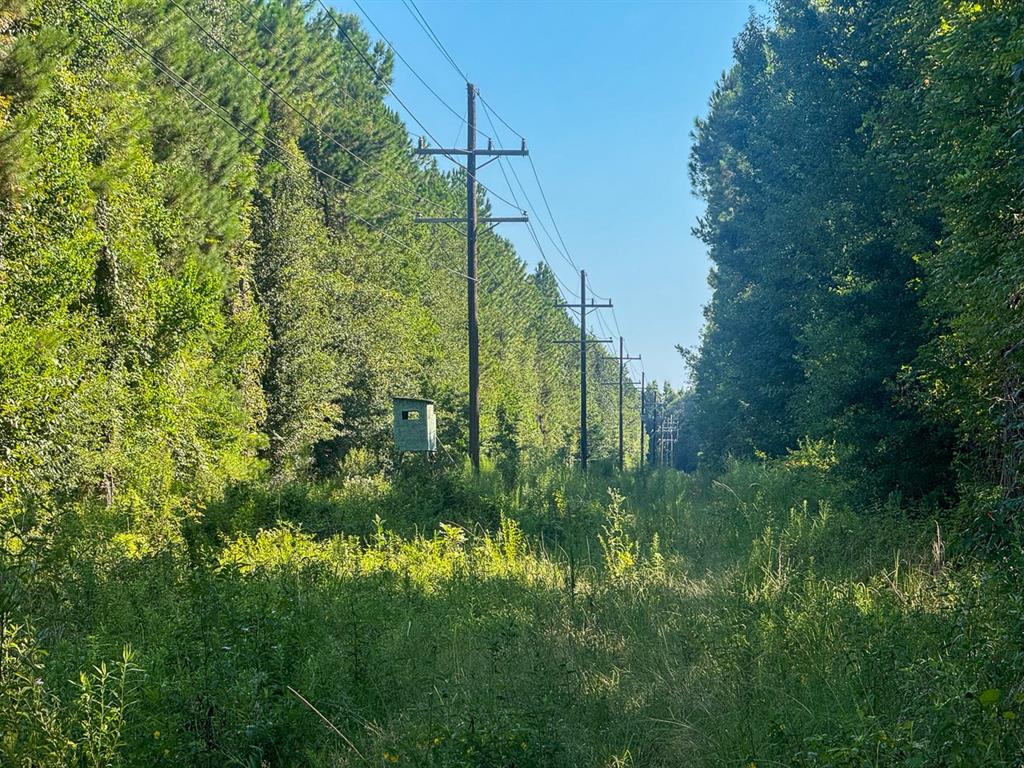 1 Highway 165 Property Photo 8