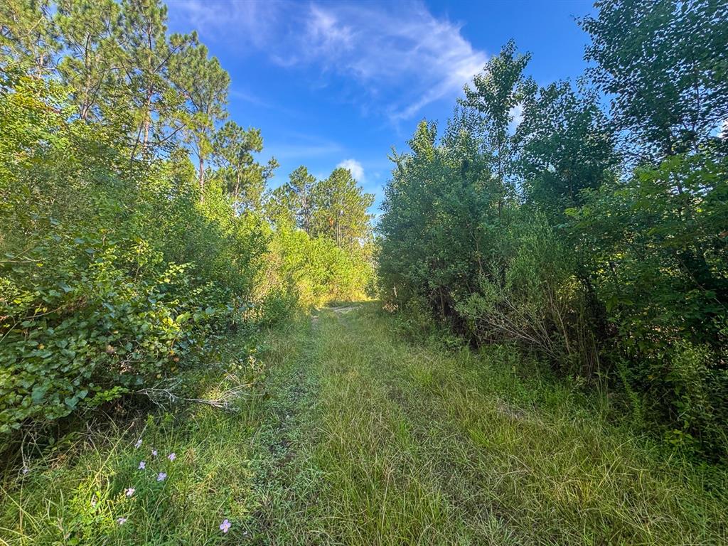 1 Highway 165 Property Photo 9