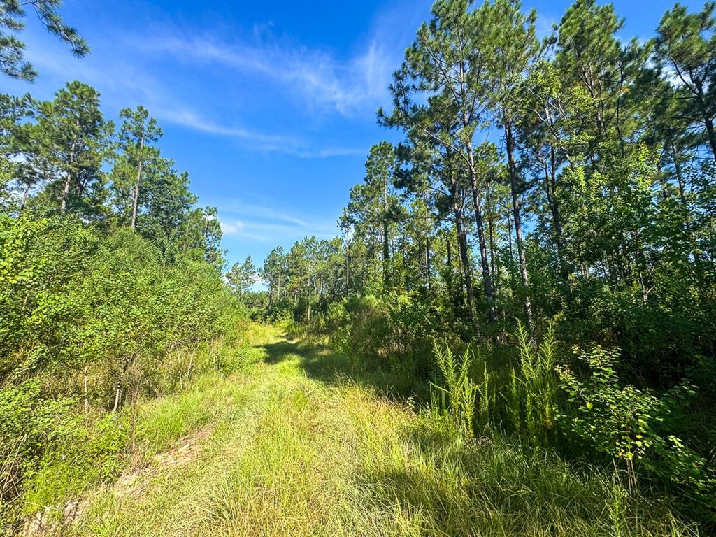 1 Highway 165 Property Photo 10
