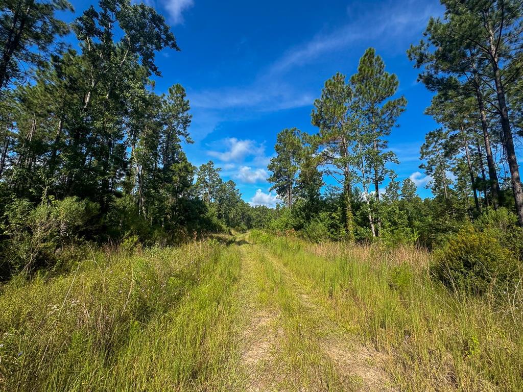1 Highway 165 Property Photo 11