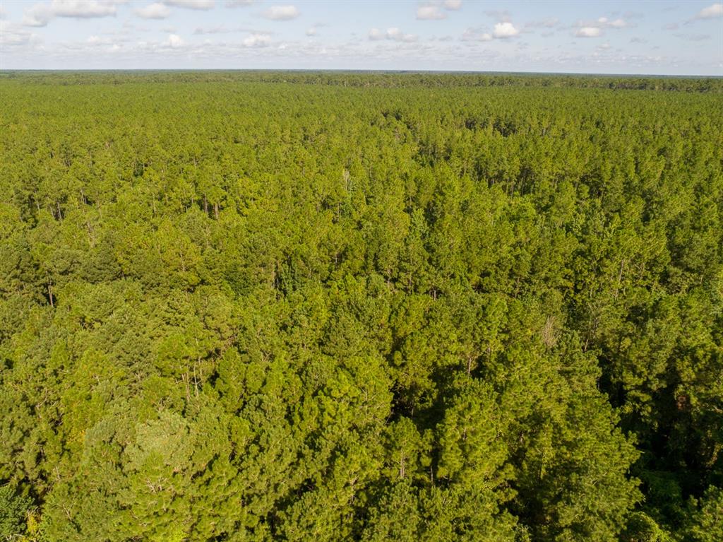 1 Highway 165 Property Photo 14