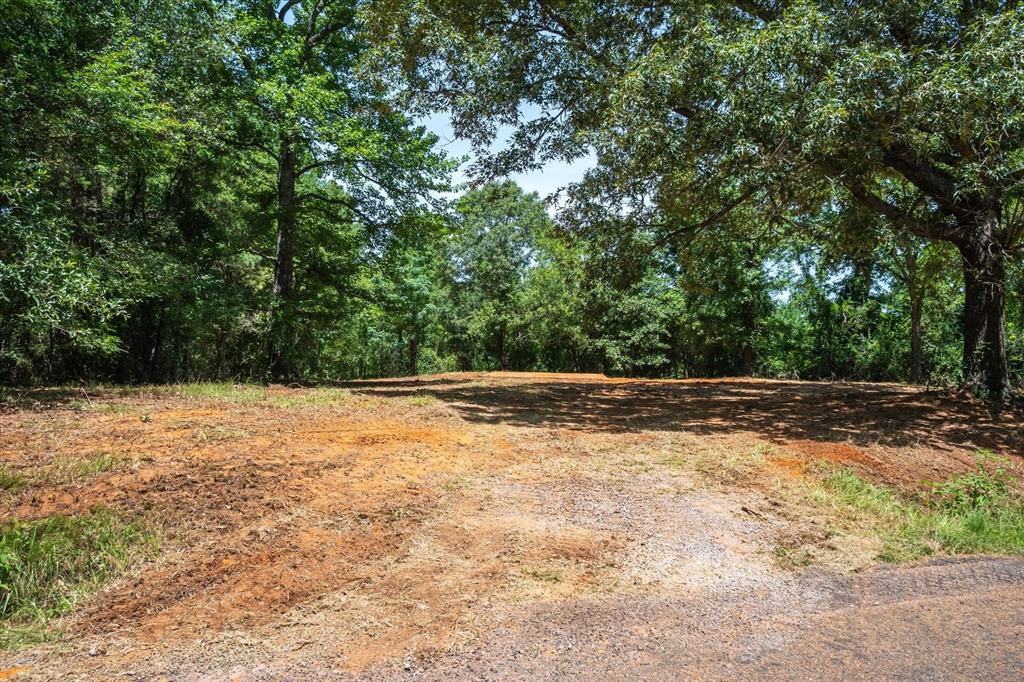 1249 County Road 4102 Property Photo 7