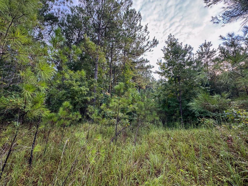 2 Red Rock Road Property Photo 11