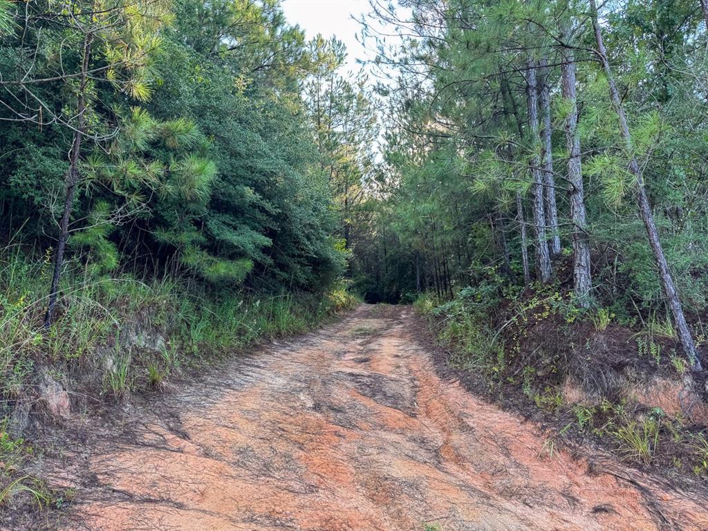 2 Red Rock Road Property Photo 14