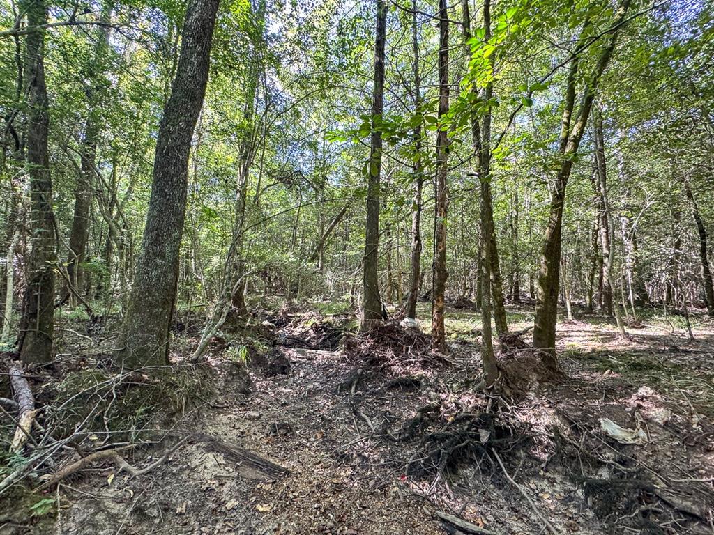 1 State Road 3205 Property Photo 9