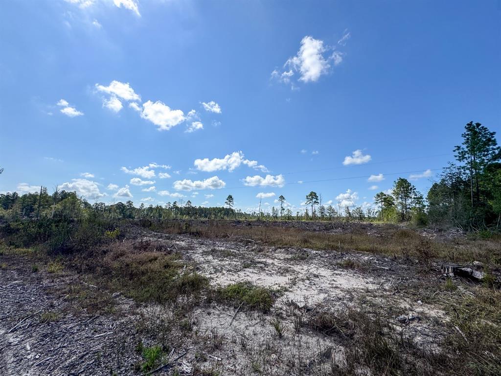 2 State Road 3205 Property Photo 6