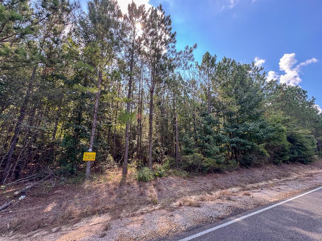 2 State Road 3205 Property Photo 9