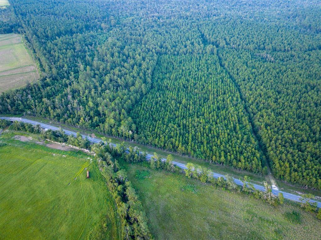 T-1 Starks Big Woods Rd. Property Photo 3