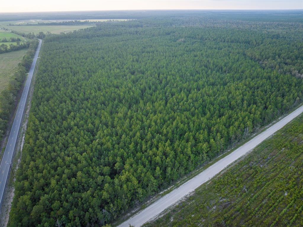 T-1 Starks Big Woods Rd. Property Photo 4