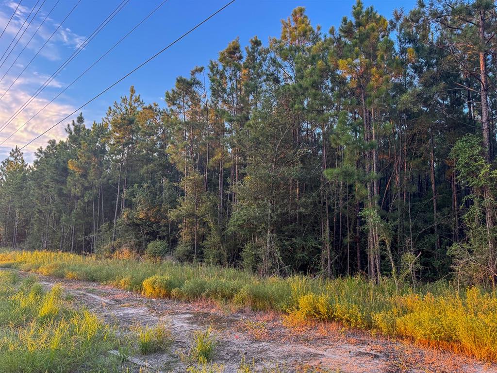 T-1 Starks Big Woods Rd. Property Photo 8