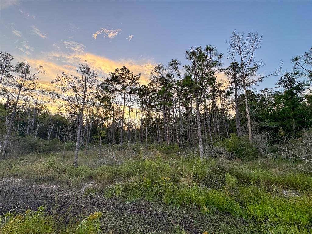T-1 Starks Big Woods Rd. Property Photo 13
