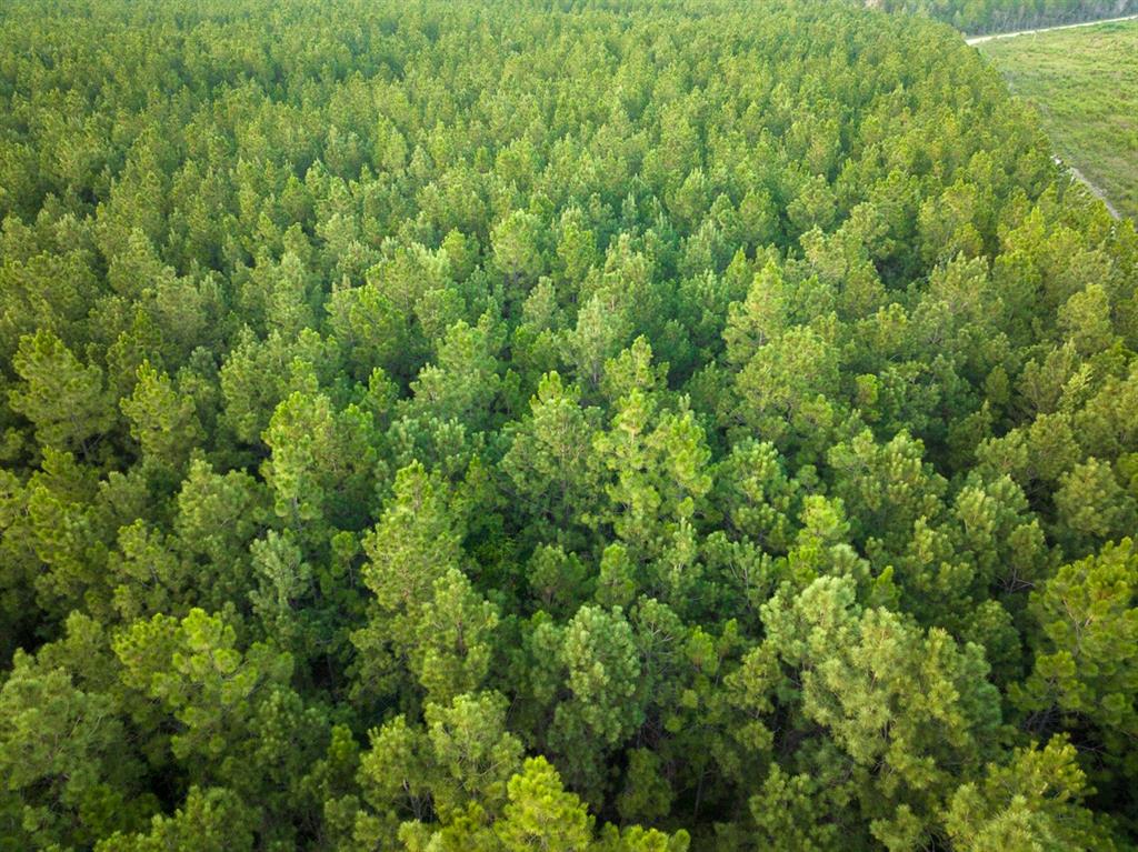 T-1 Starks Big Woods Rd. Property Photo 15