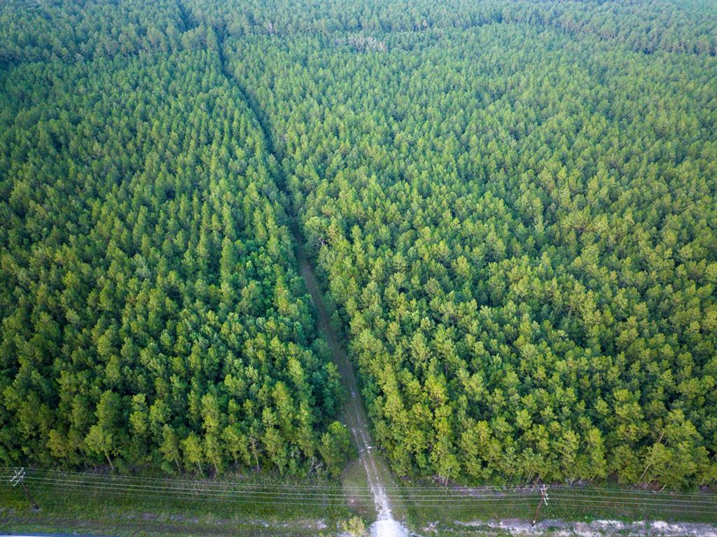 T-1 Starks Big Woods Rd. Property Photo 16