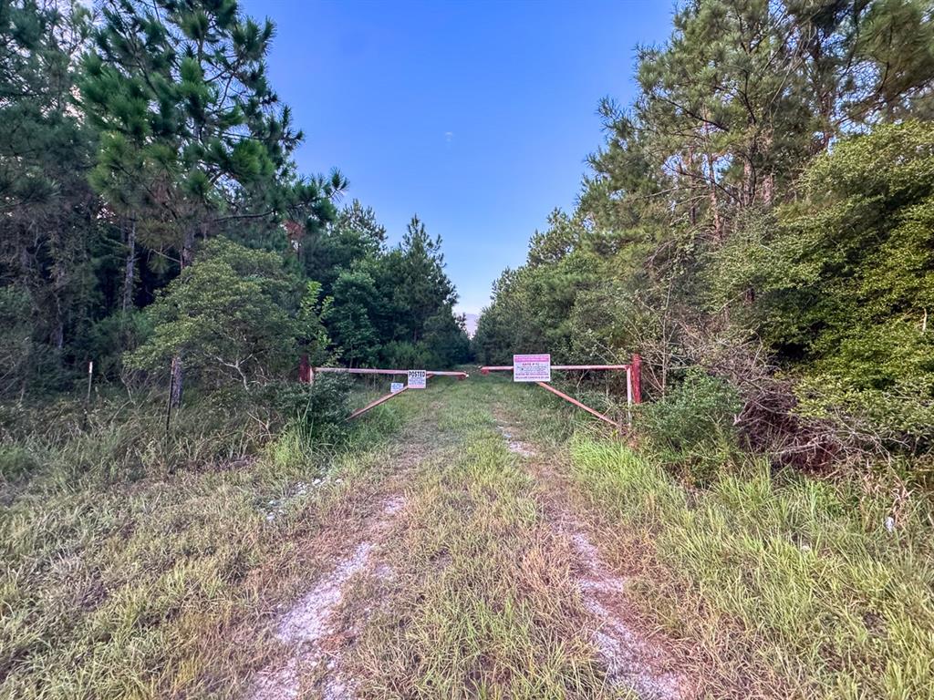 T-2 Starks Big Woods Rd. Property Photo 14