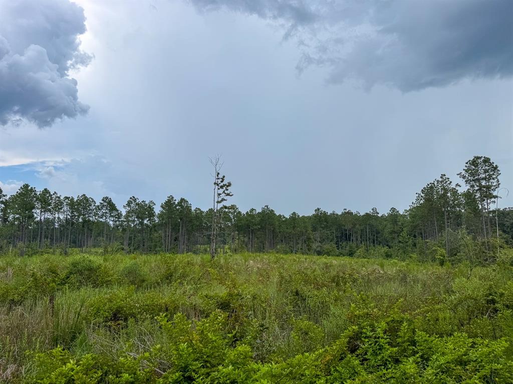 T-1 Highway 127 Property Photo 3