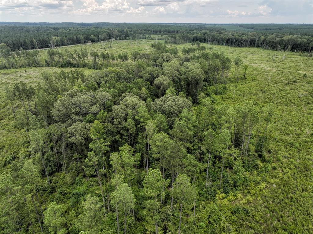 T-1 Highway 127 Property Photo 5