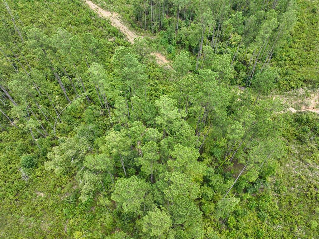 T-1 Highway 127 Property Photo 6