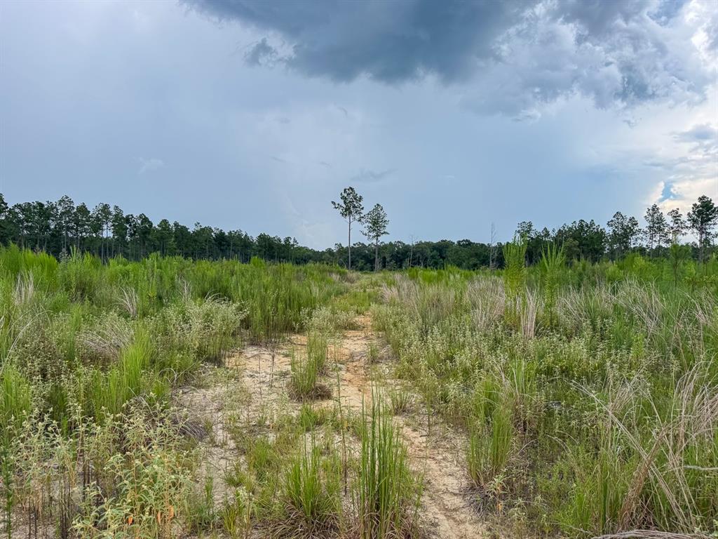 T-1 Highway 127 Property Photo 8