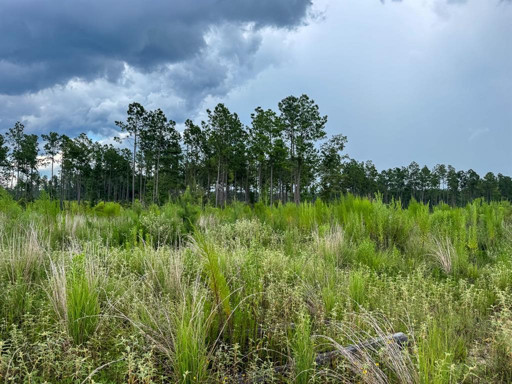 T-1 Highway 127 Property Photo 10