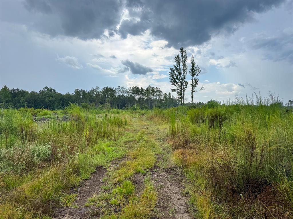 T-1 Highway 127 Property Photo 13