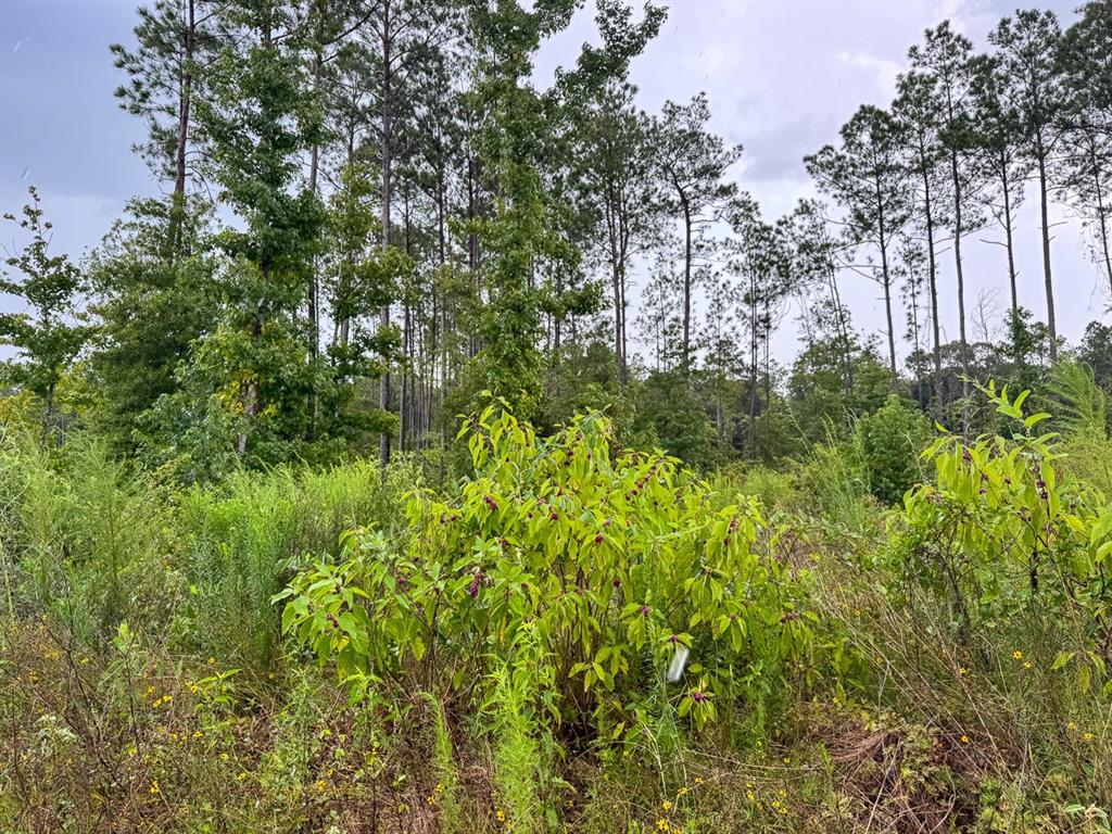T-1 Highway 127 Property Photo 14