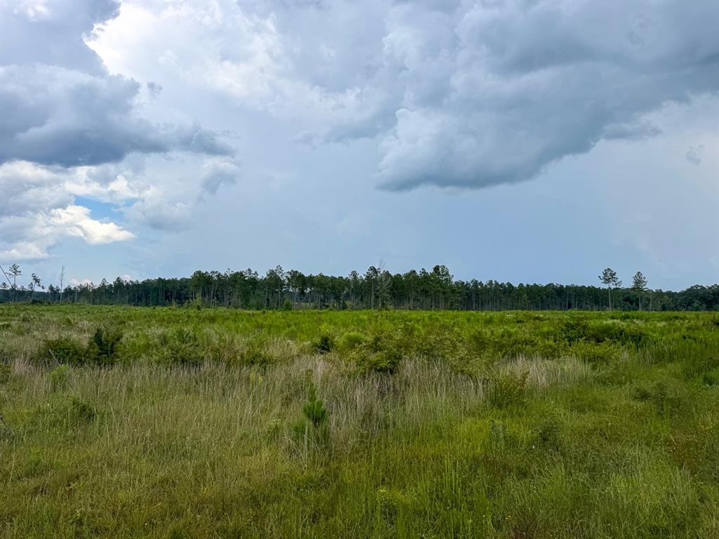 T-1 Highway 127 Property Photo 15