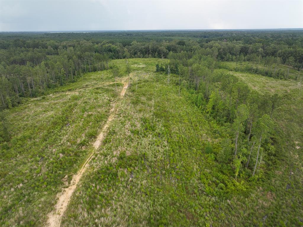 T-1 Highway 127 Property Photo 17