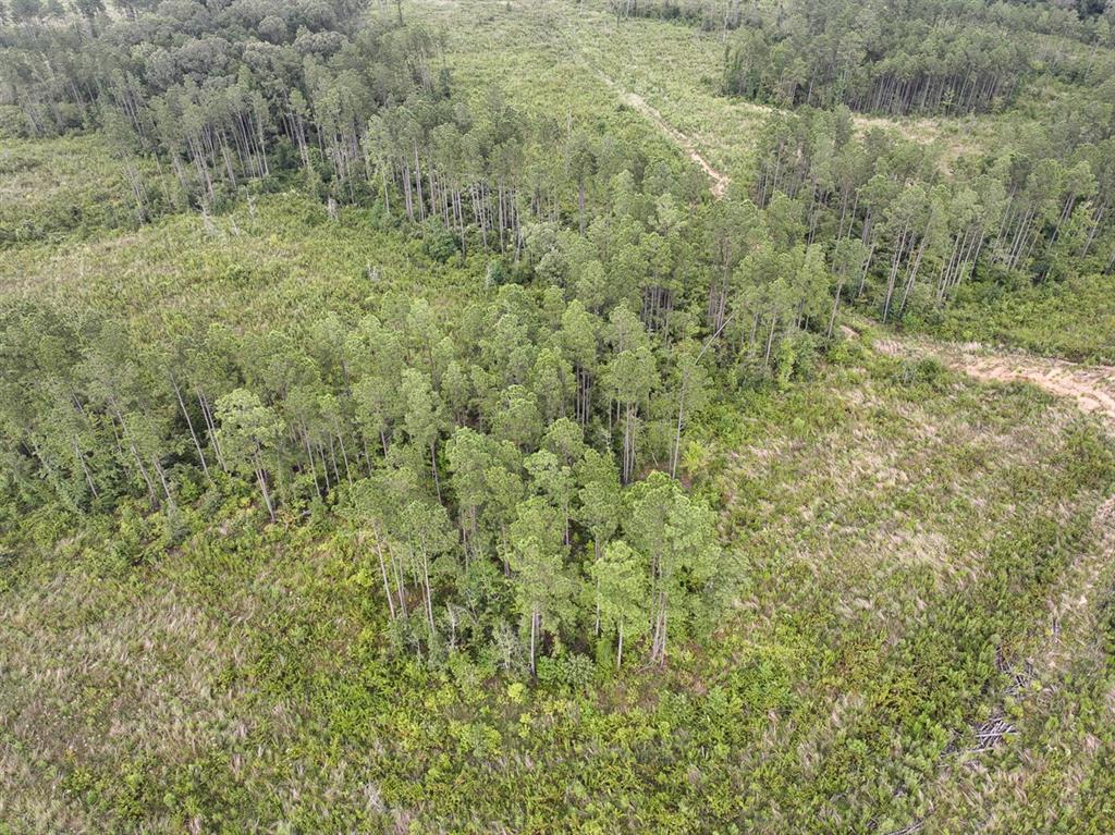 T-1 Highway 127 Property Photo 18