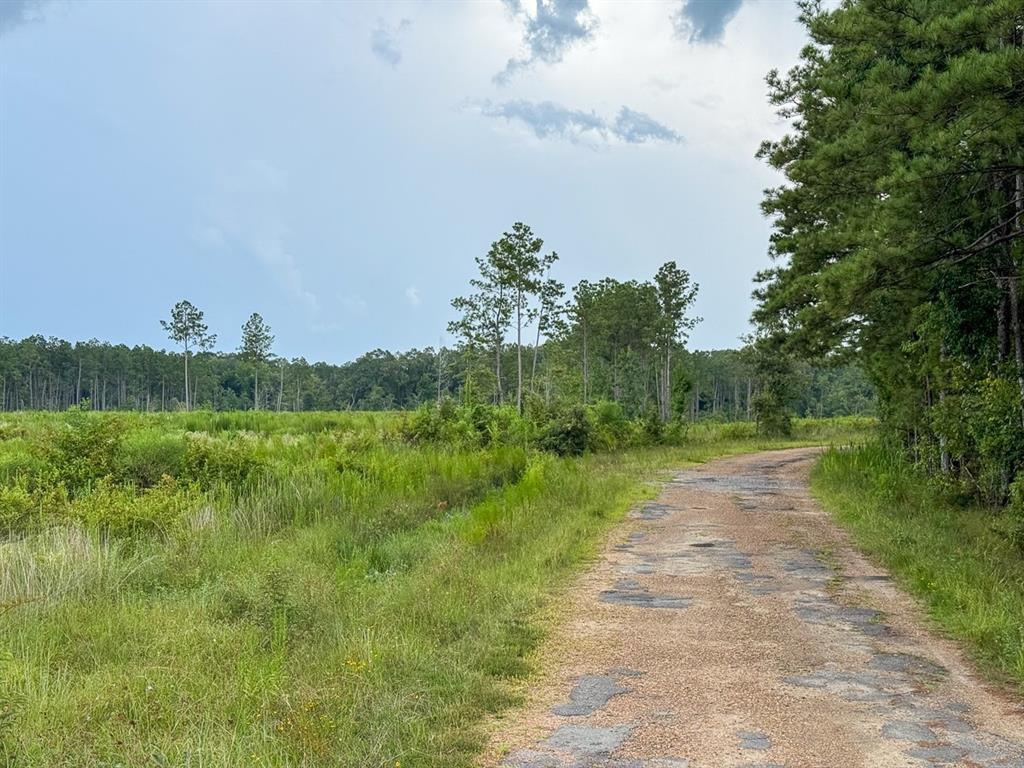 T-1 Highway 127 Property Photo 19