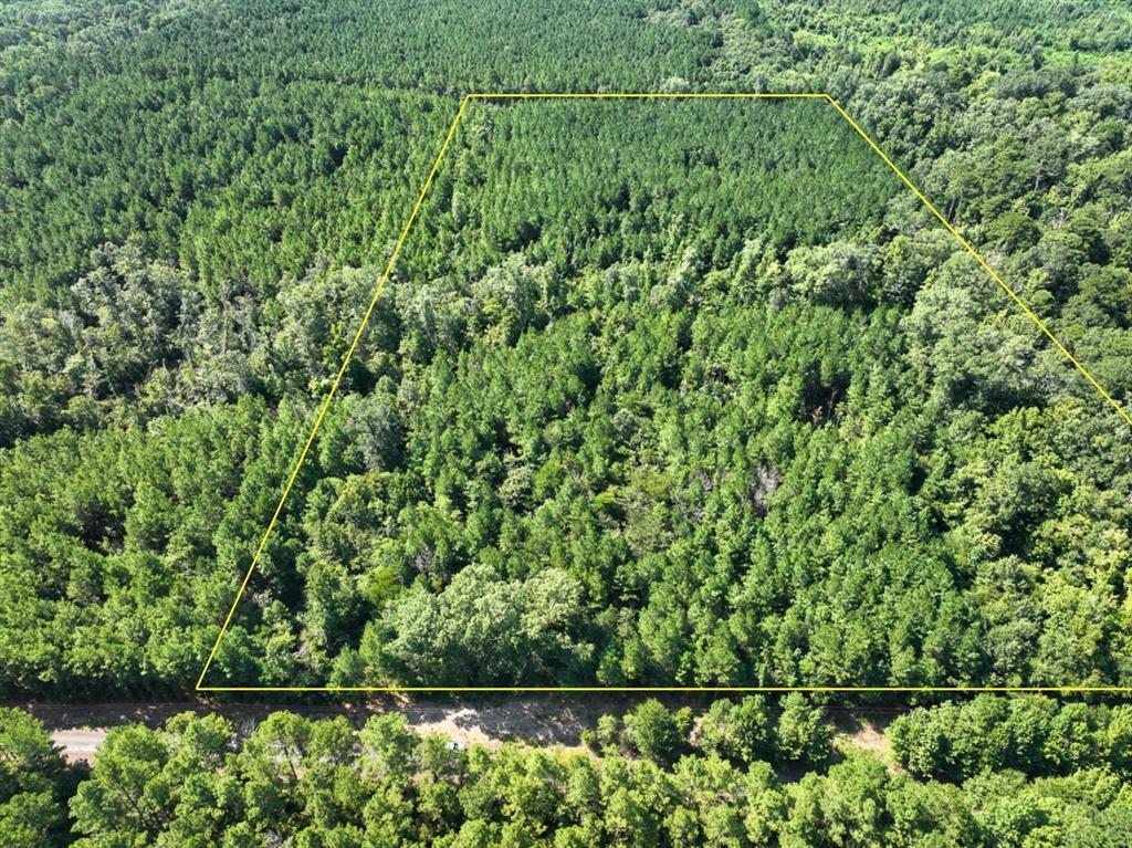 Tbd Sam Booker Road Property Photo 1
