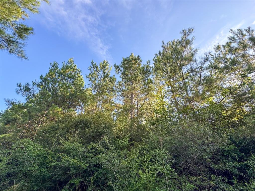 2 Edgerly Road Property Photo 14
