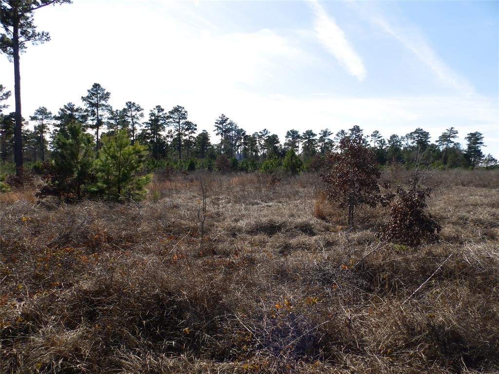 20175 S Hwy 155 Lot E1 Property Photo 27