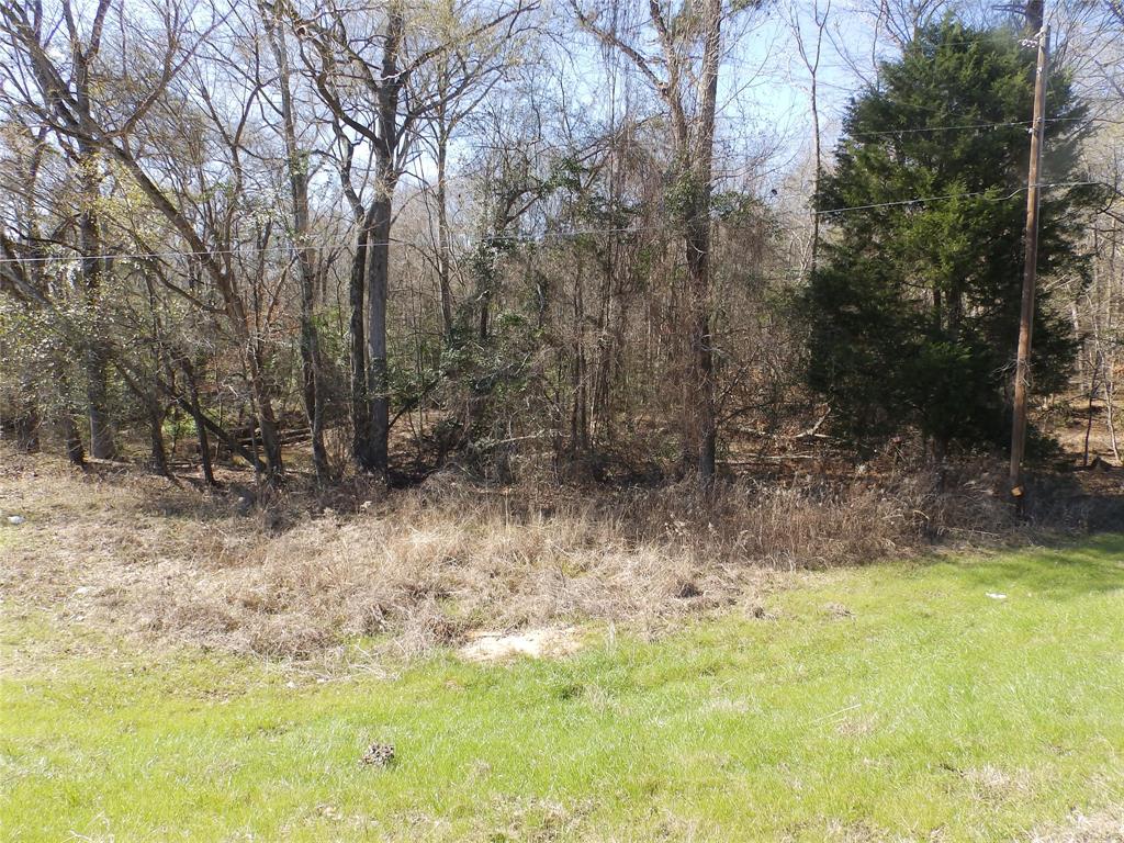 20175 S Hwy 155 Lot E1 Property Photo 37