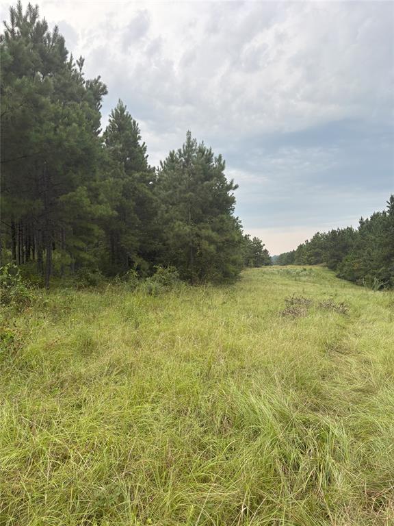 1388 County Road 1060 Property Photo 1