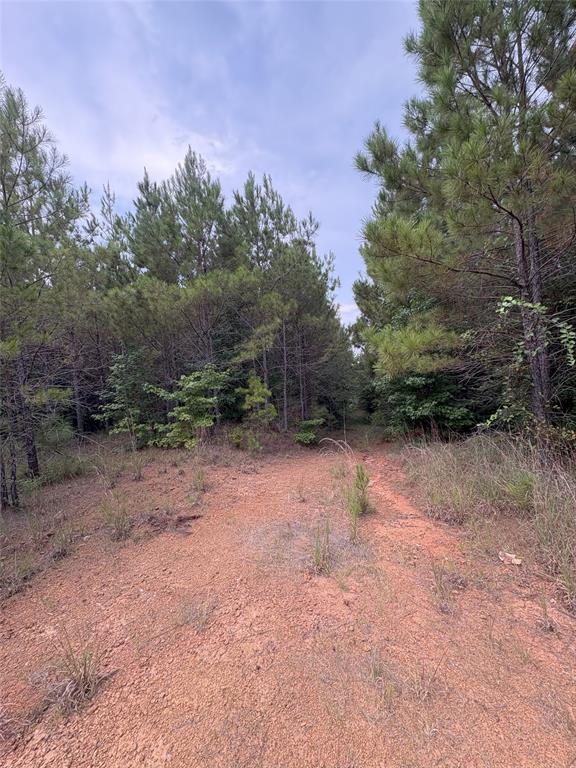 1388 County Road 1060 Property Photo 4