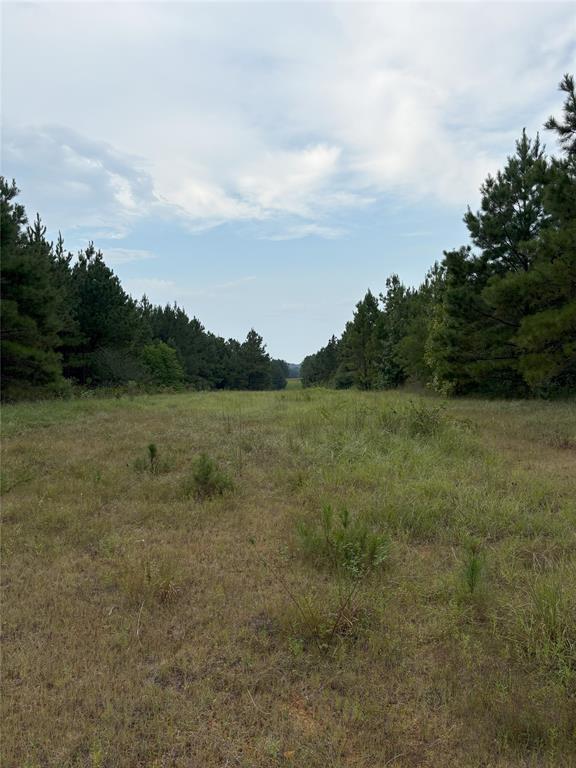 1388 County Road 1060 Property Photo 9