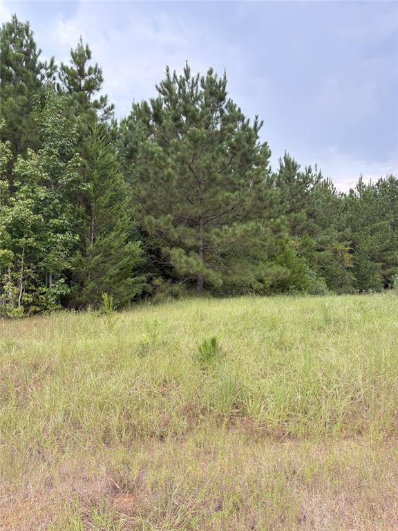 1388 County Road 1060 Property Photo 10