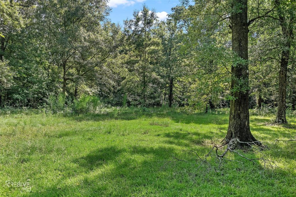 356 Cottage Grove Road Property Photo 14