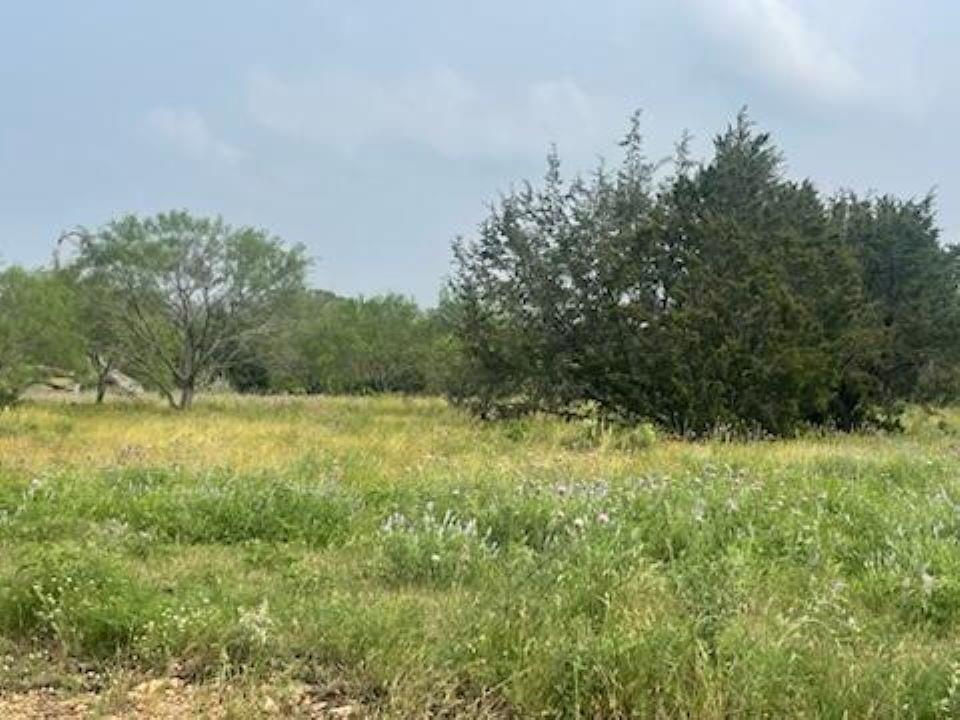 Lot 175 Heartleaf Drive Property Photo 1