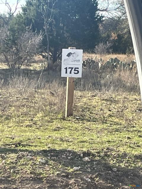 Lot 175 Heartleaf Drive Property Photo 2