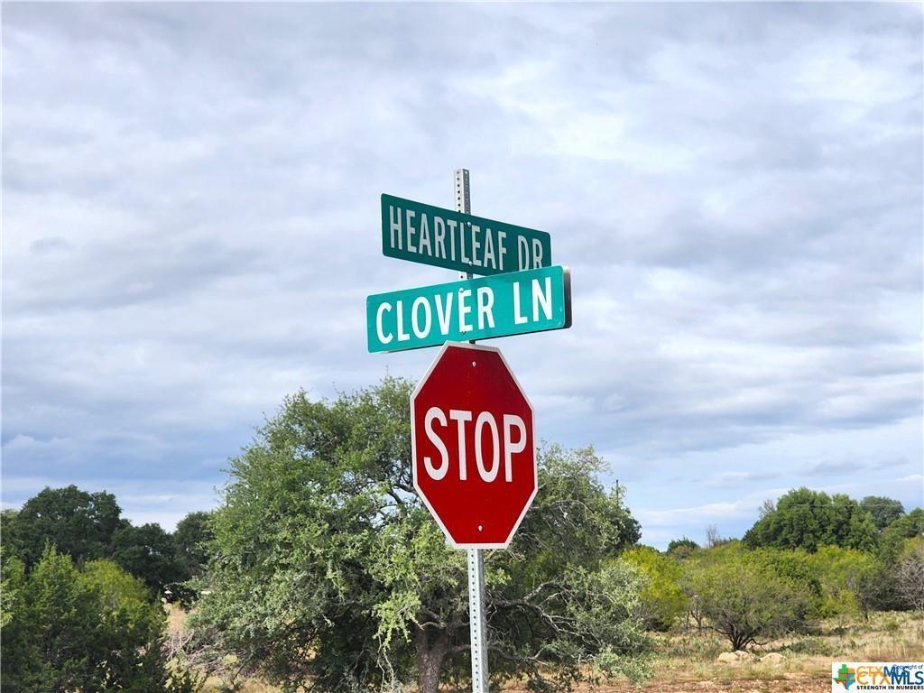 Lot 175 Heartleaf Drive Property Photo 4