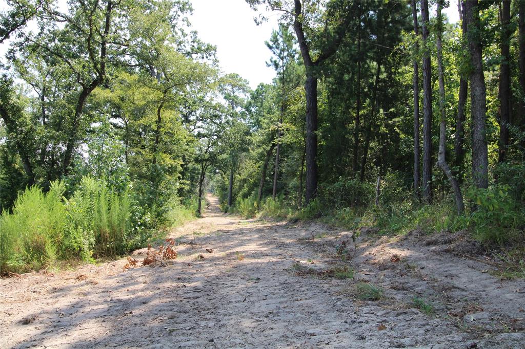 6935 U.s. Highway 175 W Property Photo 10