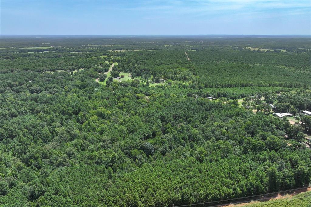 Tract 1 County Road 4102 Property Photo 18
