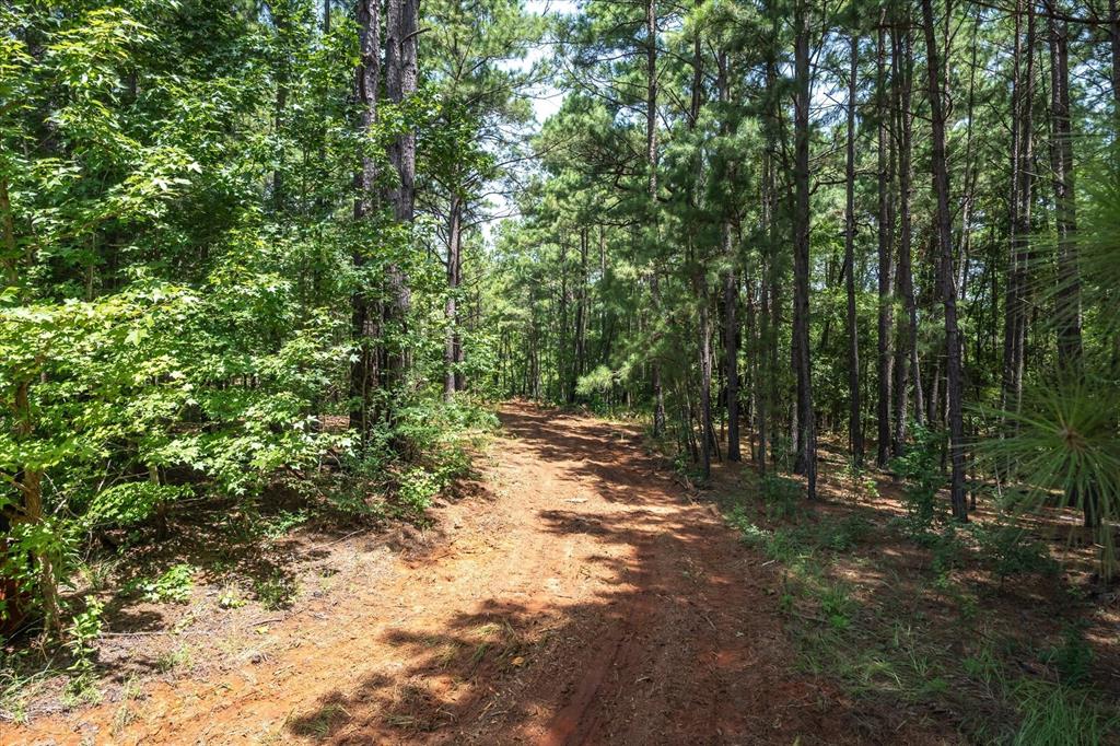 Tract 2 County Road 4102 Property Photo 5