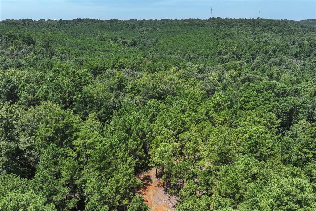 Tract 2 County Road 4102 Property Photo 6