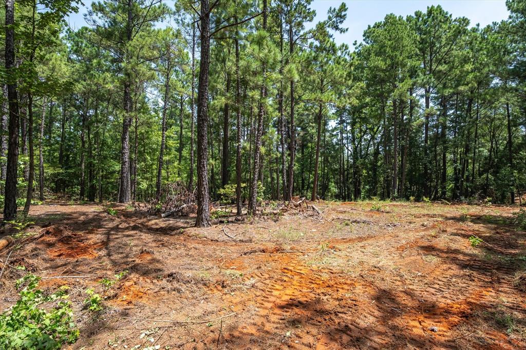 Tract 2 County Road 4102 Property Photo 7
